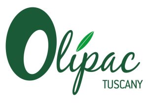 loghi per Ankorstore